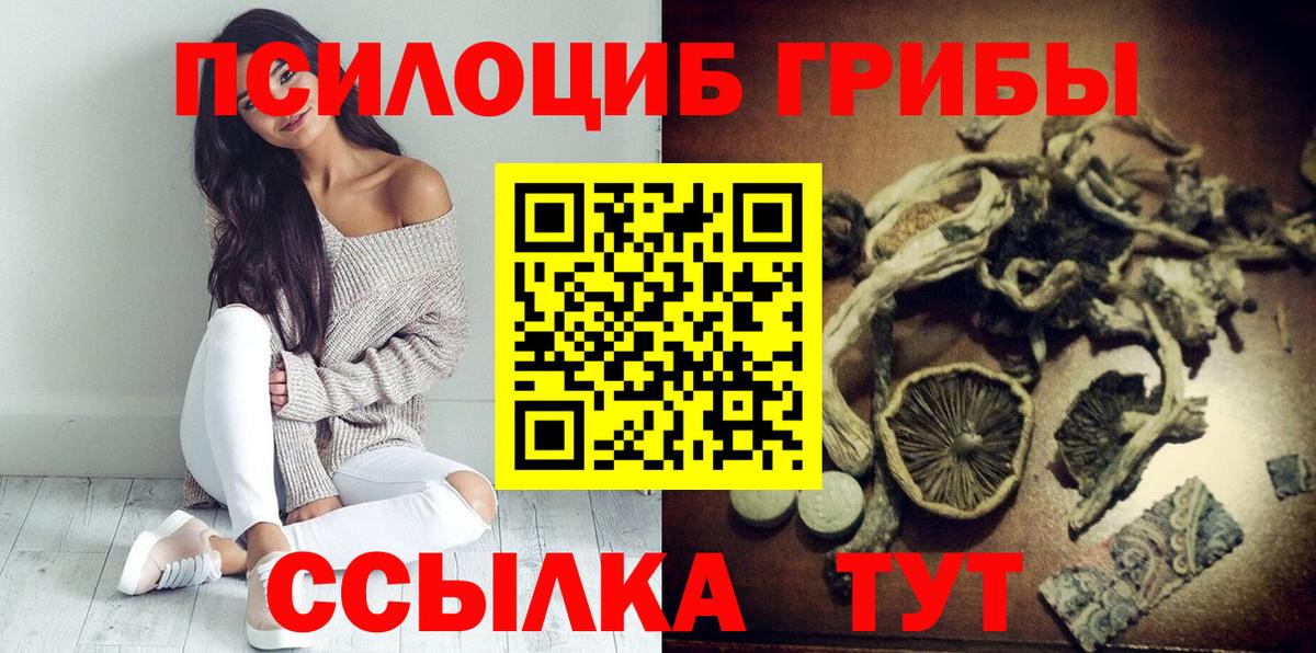 Галлюциногенные грибы Psilocybe  Галлюциногенные грибы ЛСД  Грязи  Вход с VPN 